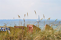 Herbstsonne & Meer