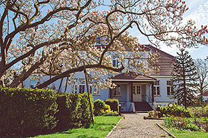 Blühender Magnolienbaum vorm Gutshaus