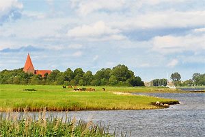 Kirchsee mit Blick auf Kirchdorf und Pferde auf der Wiese