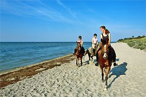 Reiten am Strand